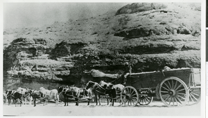 Photograph of the Eldorado Canyon Ore Team, circa 1930s