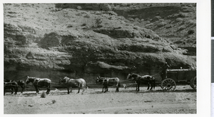 Photograph of an ore team in Eldrado Canyon, circa 1930s