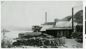 Photograph of the Old Gold stamp mill at Eldorado Canyon Techatticup Mine, Searchlight, Nevada, circa 1930s
