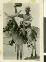 Photograph of a young boy on a donkey's back, circa 1920s-1930s