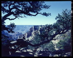 Film transparency of the North rim of the Grand Canyon, Arizona, 1955