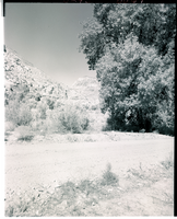 Film transparency of Kershaw Canyon, south of Caliente, Nevada, 1954