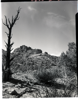 Film transparency of the Beaver Dam area near  Carp, Nevada, November, 1954