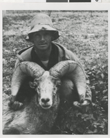Photograph of an unidentified man with bighorn sheep, circa 1930s