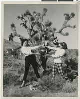 Photograph of two Bluebell girls hanging Christmas decorations at Red Rock Canyon , Las Vegas, 1958