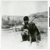 Photograph of Eugene Tom with his family dogs, Moapa Indian Reservation, Nevada, circa early 1950s