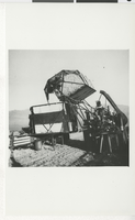 Photograph of cotton being discharged at Lazy 88 Ranch, Pahrump, NV, circa 1954