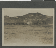Photograph of hauling of supplies from Manville to Beatty, Nevada, circa early 1900s