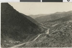 Postcard of Robinson Canyon, Ely, Nevada, circa early 1900s
