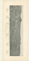 Panoramic photograph of Goldfield, Nevada, circa 1905-1908