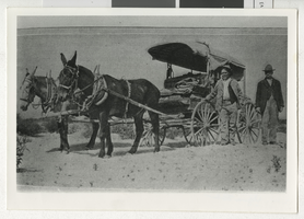 Photograph of Jim Ladd and an unidentified man standing next to a buckboard wagon, Boulder City (Nev.), early 1900s