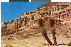 Postcard with photograph of Red Rock Canyon, Nevada, 1940-1950