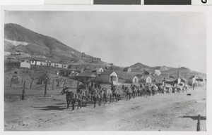 Photograph of an animal team on the road to Candelaria, Nevada, late 1800s
