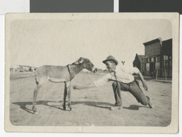 Photograph of Jack Tuck and a donkey, 1910s