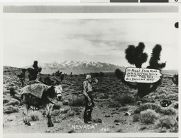 Photograph of a man and mule in the Nevada desert, 1940s