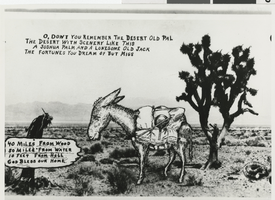 Photograph of Nevada desert, circa 1940s