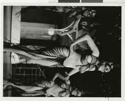Photograph of Minsky's Burlesque dancer at the Aladdin Hotel and Casino, Las Vegas, Nevada, 1972