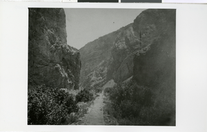 Photograph of Condor Canyon, Bullionville (Nev.), circa 1916