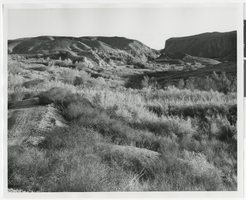 Photograph of desert, Tecopa (Calif.), 1907-1918
