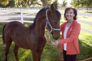 Photograph of Elaine Galatz with horses, Las Vegas (Nev.), October 31, 2016