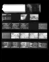 Set of negatives by Clinton Wright including "Donnie's" children, and passing school children, 1964