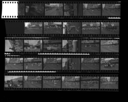 Set of negatives by Clinton Wright of the Helldorado Parade, 1966