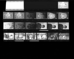 Set of negatives by Clinton Wright including Mrs. Maragarete Simmon, Sister McKinney, party at Sugar Hill, Mrs. I.W. Wilson, Golden West advertisement, the bulletin board at D.C., and Reverend Coleman's anniversary, 1966