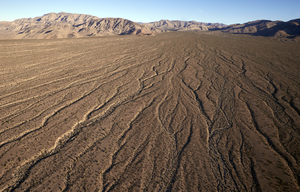 Undeveloped land near the Las Vegas Mountain Range, North Las Vegas, Nevada: digital photograph