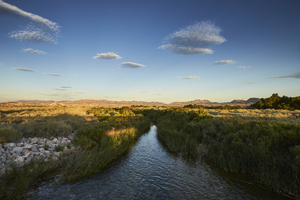 Las Vegas Wash at the Clark County Wetlands Park, Clark County, Nevada: digital photograph