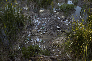 Garbage along the Las Vegas Wash at the Clark County Wetlands Park, Clark County, Nevada: digital photograph