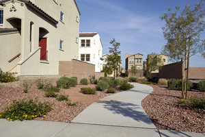 New home neightborhood on Cadence View Way, Henderson, Nevada: digital photograph