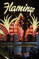 The Flamingo neon sign, Las Vegas, Nevada: digital photograph