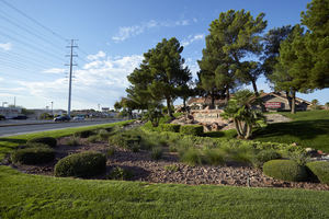 Monument landscaping for The Lakes on the corner of South Durango Drive and West Sahara Avenue, Las Vegas, Nevada: digital photograph