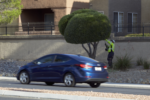 Landscaper working on West Sahara Avenue west of South Durango Drive, Las Vegas, Nevada: digital photograph