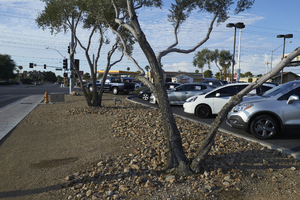 AutoNation used car lot on West Sahara Avenue, Las Vegas, Nevada: digital photograph