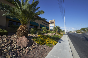 Business landscaping on West Sahara Avenue, Las Vegas, Nevada: digital photograph