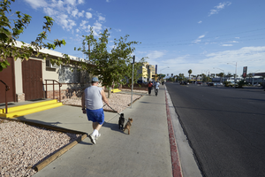 Man walks dogs on Teddy Drive looking north, Las Vegas, Nevada: digital photograph