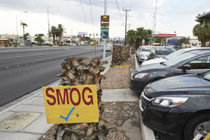 Business sign on Nellis Boulevard near East Sahara Avenue looking south, Clark County, Nevada: digital photograph