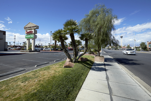 Landscaping at Sahara Towne Square on East Sahara Avenue east of Maryland Parkway looking west, Las Vegas, Nevada: digital photograph