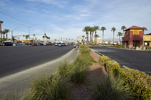 Landscaping along West Sahara Avenue east of Decatur Boulevard, looking west, Las Vegas, Nevada: digital photograph