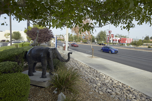 Animal statues at the McDonald's on West Sahara Avenue and Arville Street looking west, Las Vegas, Nevada: digital photograph