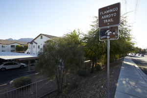 Flamingo Arroyo Trail sign, looking east, Las Vegas, Nevada: digital photograph