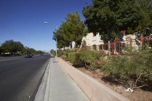 Landscaping along East Sahara Avenue west of Tree Line Drive, looking west, Las Vegas, Nevada: digital photograph