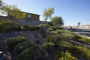 Landscaping on Hollywood Boulevard and East Sahara Avenue, looking southeast, Las Vegas, Nevada: digital photograph