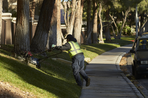 Landscape worker mowing grass on Grand Canyon Drive south of West Sahara Avenue, looking north, Las Vegas, Nevada: digital photograph