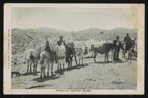 Goldfield prospectors: postcard