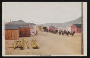 Burros and buildings in Goldfield: postcard