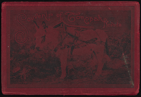 "Souvenir of Tonopah, Nevada" with photos from Goldfield, Tonopah, and Searchlight, Nevada: photograph album
