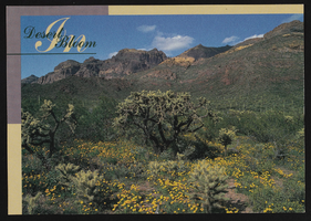 Desert in Bloom: postcard