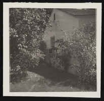 North view of Sylvia Adler residence: photographic print